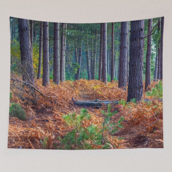 Item preview, Autumn forest trees view. Golden autumn in forest. Forest autumn fall scene.  designed and sold by Faramira11.