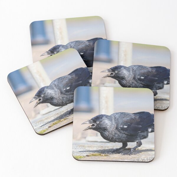 Item preview, Grajilla hambrienta designed and sold by GreyFeatherPhot.