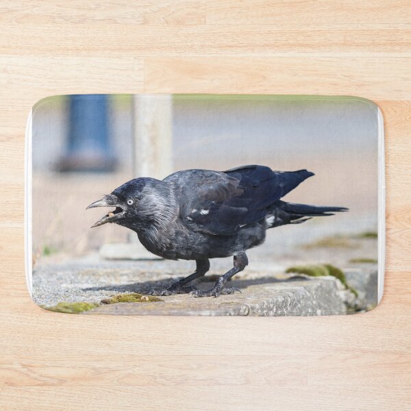 Item preview, Hungry jackdaw designed and sold by GreyFeatherPhot.