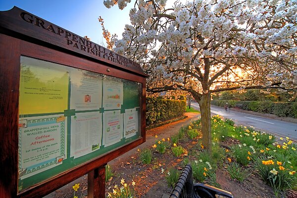 Spring blossom in Grappenhall Village, near Warrington, Cheshire