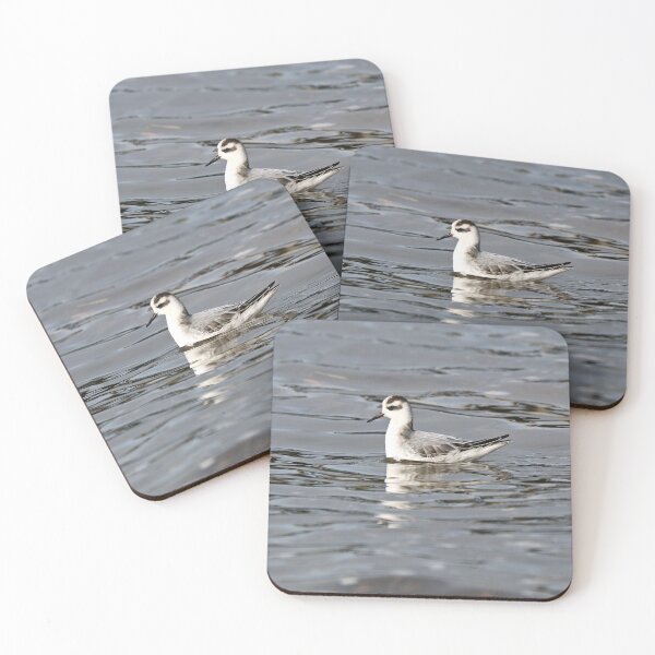 Item preview, Grey phalarope designed and sold by GreyFeatherPhot.