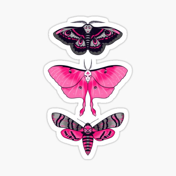cute little moth vinyl sticker — These Things Shop // cute plushies and  accessories for you
