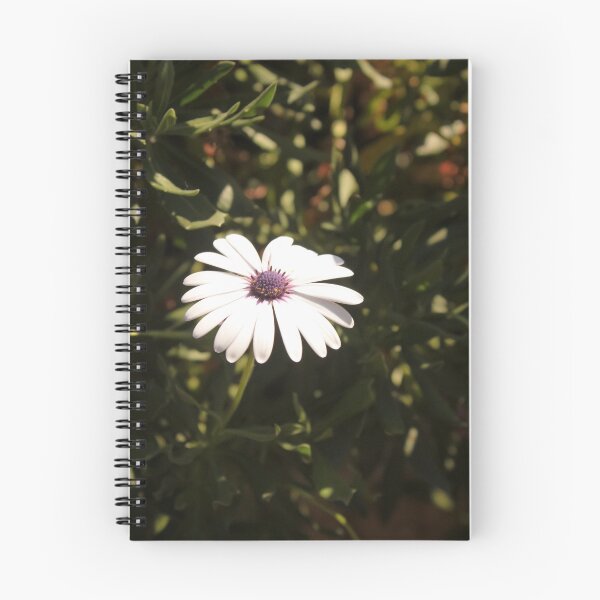 Item preview, Photography of a daisy (flower common daisy) - Madeira, Portugal designed and sold by marianaalens.