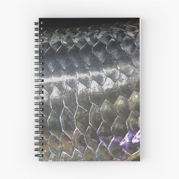 Item preview, Tarpon Scale, Fish scale pattern designed and sold by fraserStudio.