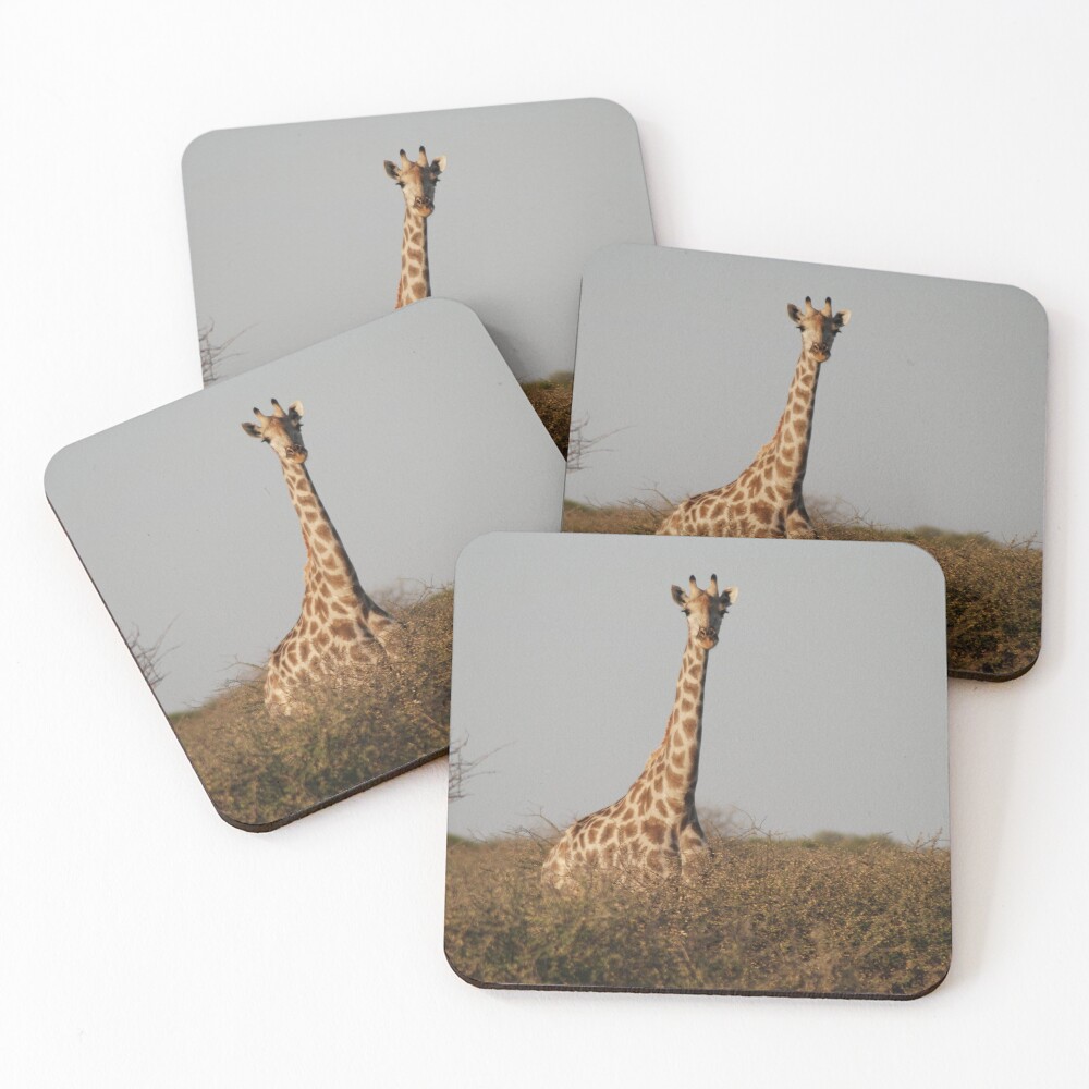 Item preview, Coasters (Set of 4) designed and sold by justbmac.