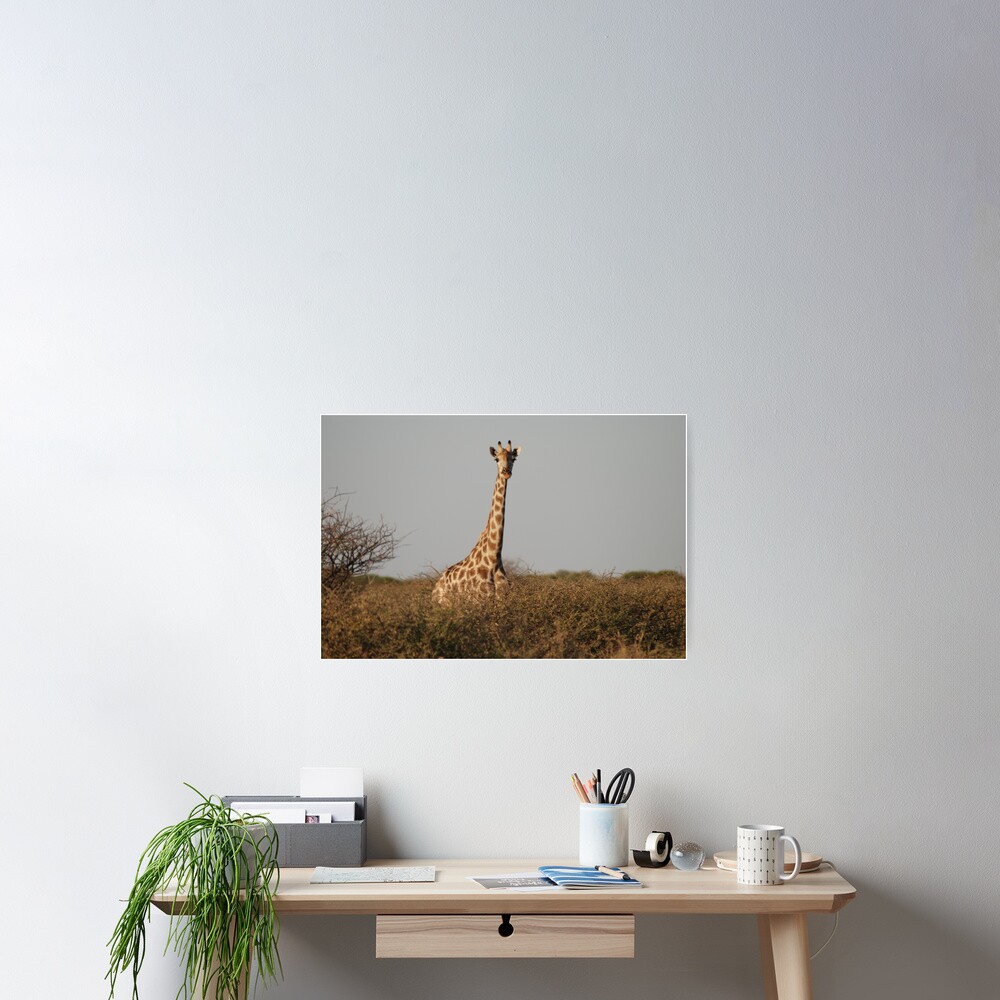 Item preview, Poster designed and sold by justbmac.