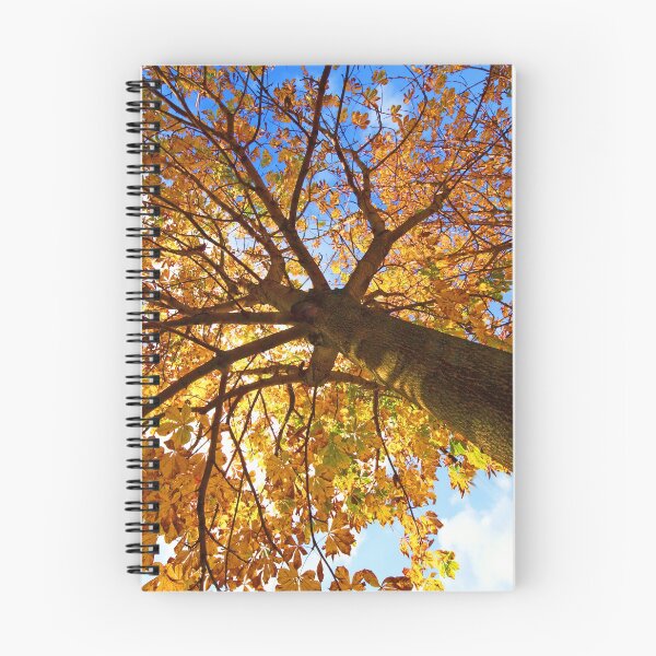 Item preview, Autumn at Grappenhall Heys Walled Garden,Lumb Brook Road,Grappenhall,Warrington,Cheshire designed and sold by Local gifts from HotpixUK .
