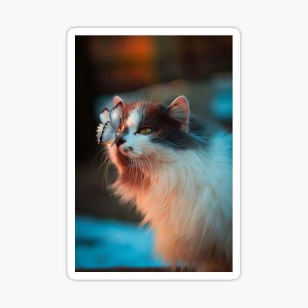 Cute cat Sticker