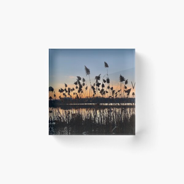 Item preview, Grasses of Grenadier designed and sold by stellrmel.