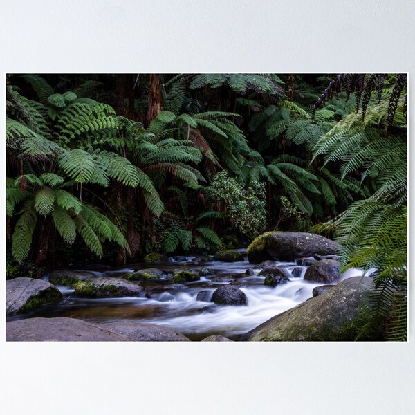 Item preview, Toorongo Falls designed and sold by Michael Heritage.
