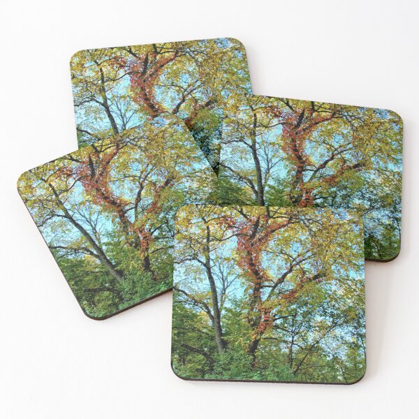Item preview, Red Vine Walnut designed and sold by LynyrdSky.