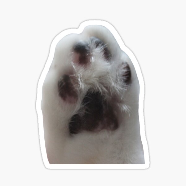 Cat Paw Stickers for Sale