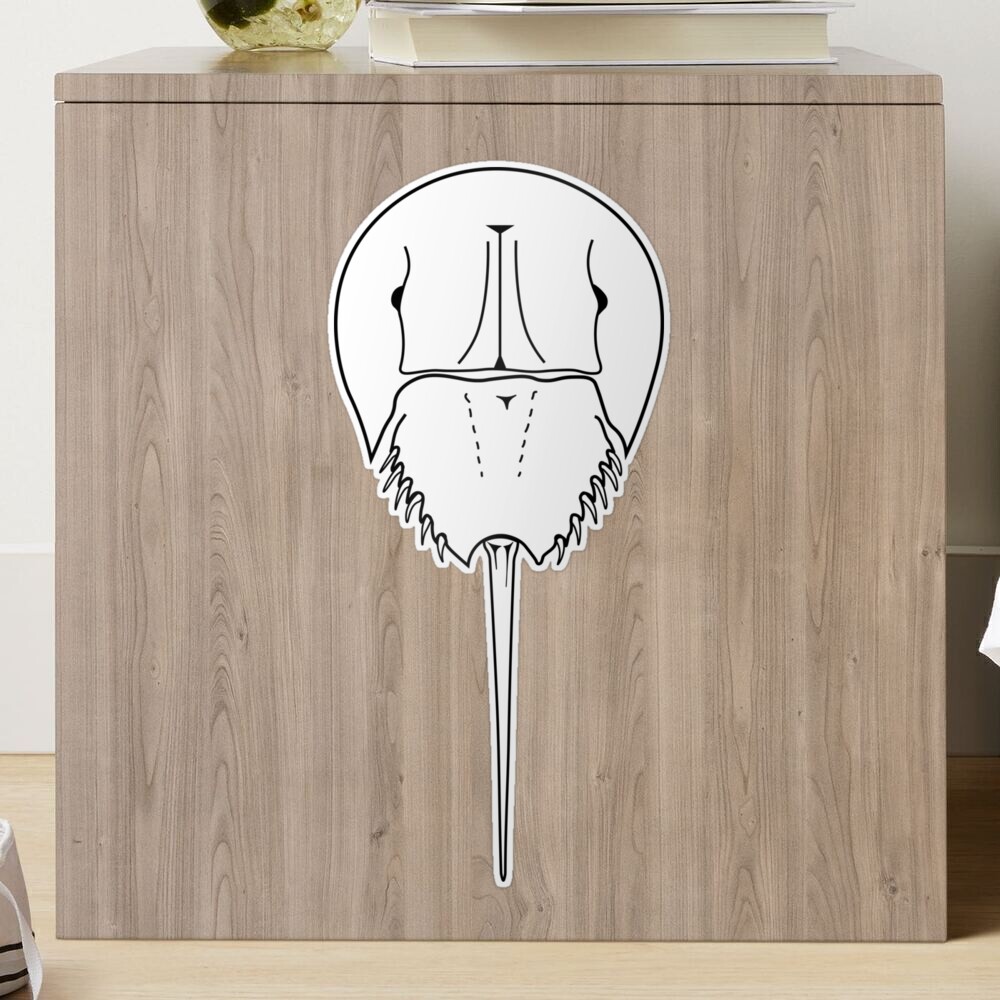 Horseshoe crab line drawing (simple version) Sticker for Sale by