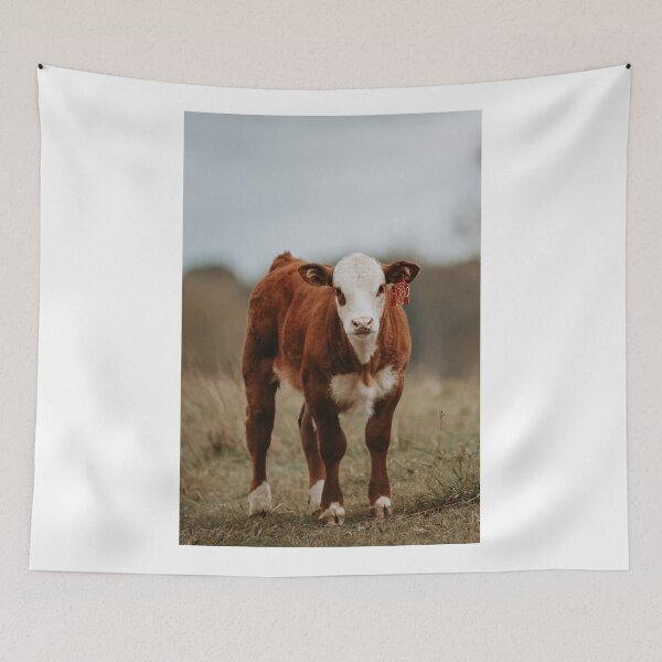 Item preview, Hereford Staredown designed and sold by jacindasgarner.
