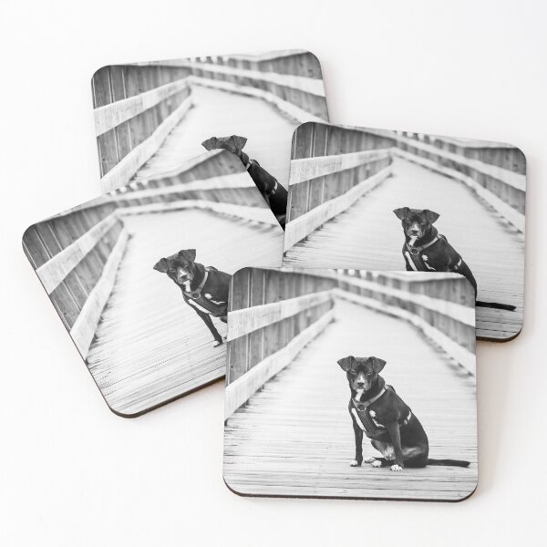 Item preview, Rosa designed and sold by Charles Plant.