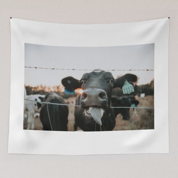 Aperçu de l'œuvre Veau Holstein créée et vendue par jacindasgarner.