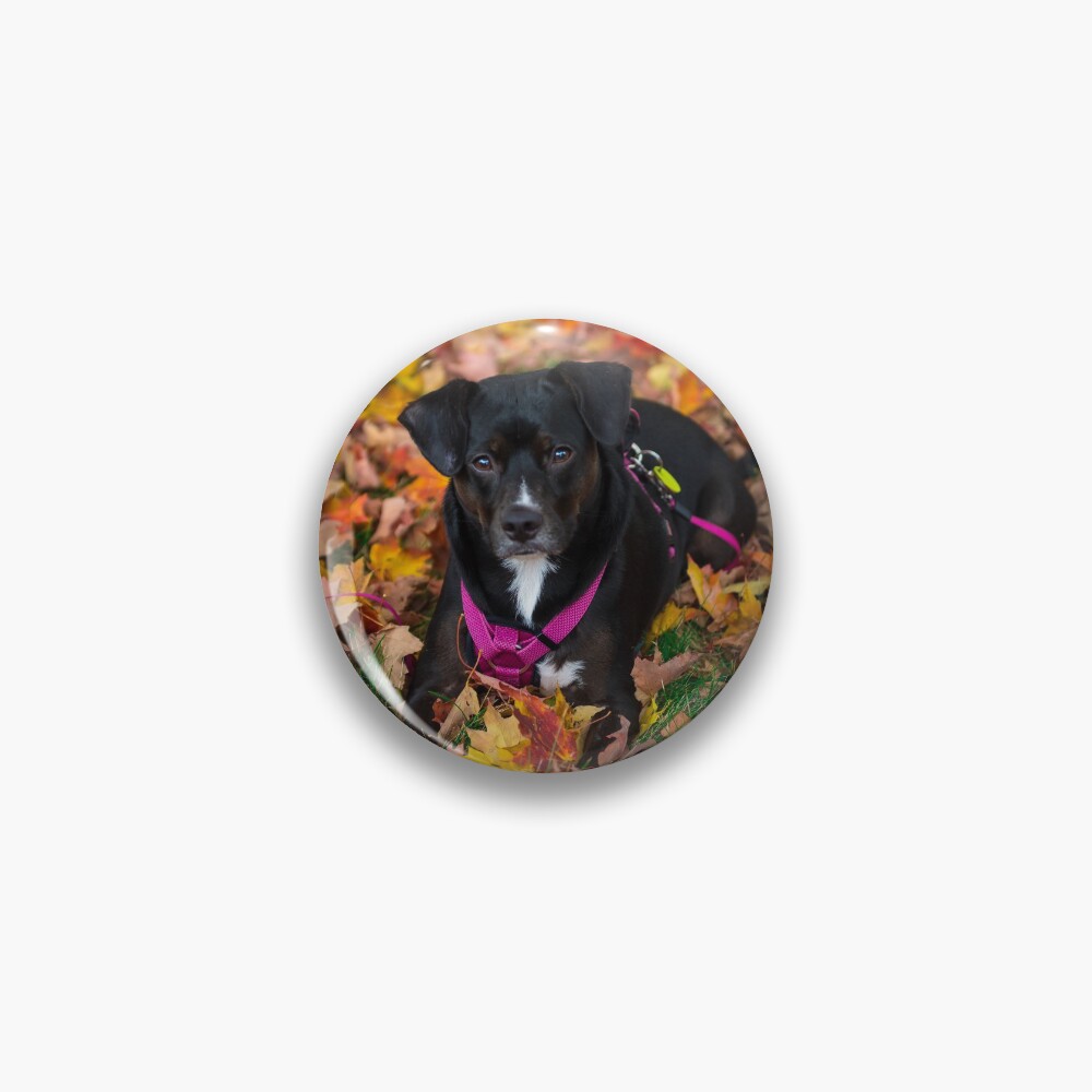 Item preview, Pin designed and sold by CharlieP.