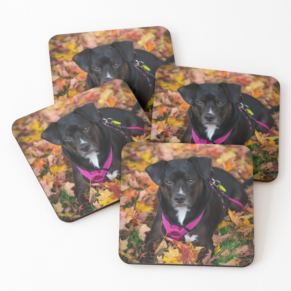 Item preview, Coasters (Set of 4) designed and sold by CharlieP.