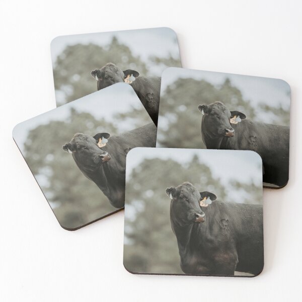 Item preview, Angus cow designed and sold by jacindasgarner.