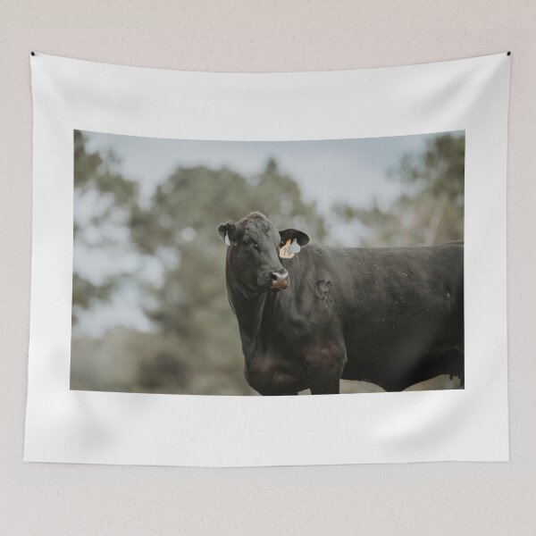 Item preview, Angus cow designed and sold by jacindasgarner.