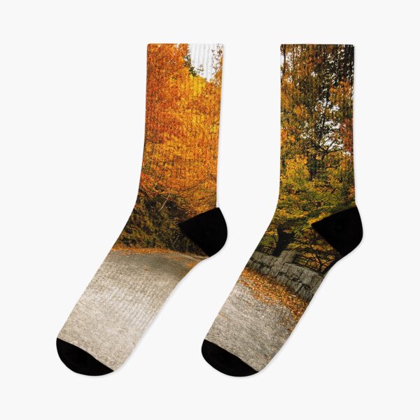 Item preview, Autumn Trees designed and sold by hugoncalves.
