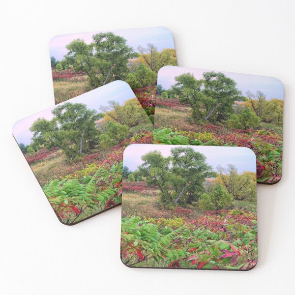 Item preview, Maynes Autumn Rainbow designed and sold by LynyrdSky.