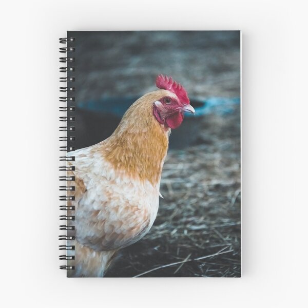 Item preview, Chicken designed and sold by jacindasgarner.