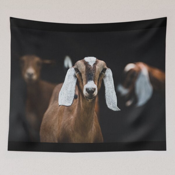 Item preview, Nubian doe designed and sold by jacindasgarner.