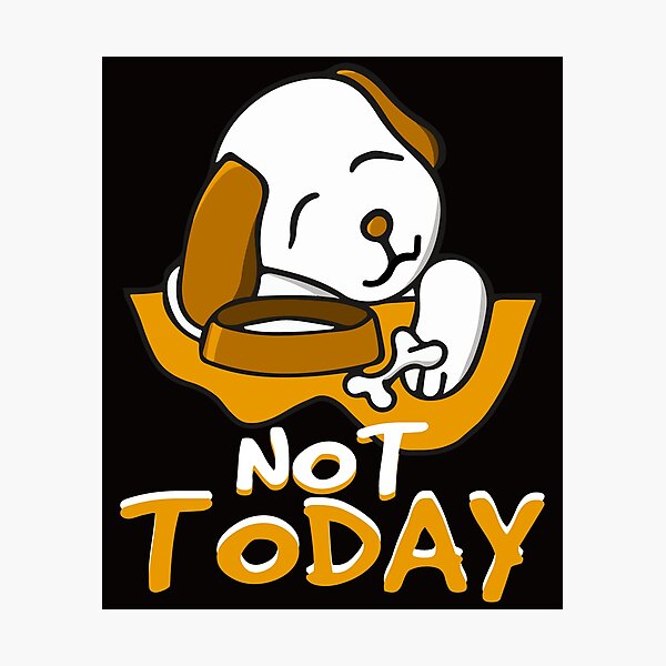 Not Today Photographic Print