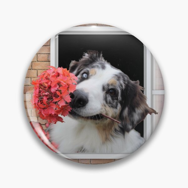 Item preview, Happy Shepherd Dog  With a Flower Looking out Window - Brick Wall designed and sold by ittybittyowl.
