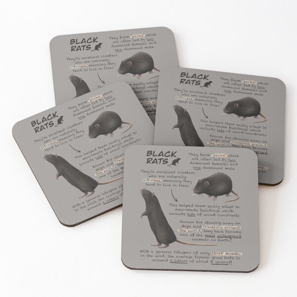 Item preview, Black Rats Fun Animal Facts designed and sold by troyanthonyart.