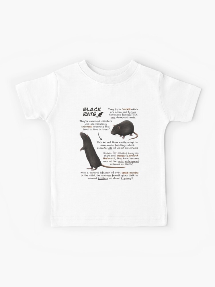 Black Rats Fun Animal Facts Black Rats Fun Animal Facts