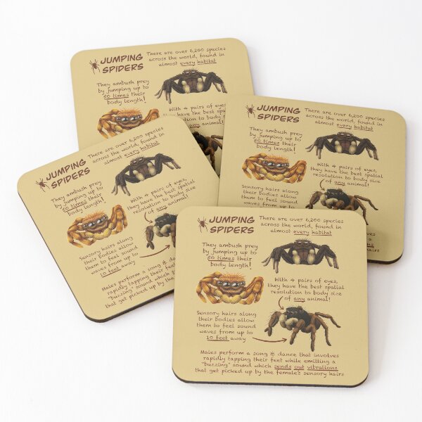 Item preview, Jumping Spiders Fun Animal Facts designed and sold by troyanthonyart.