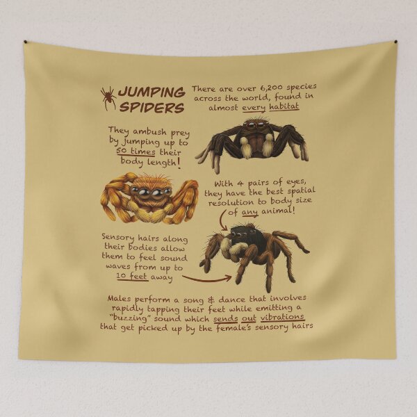 Item preview, Jumping Spiders Fun Animal Facts designed and sold by troyanthonyart.