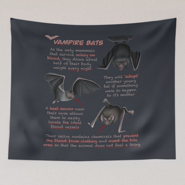 Aperçu de l'œuvre Faits amusants sur les chauves-souris vampires créée et vendue par troyanthonyart.