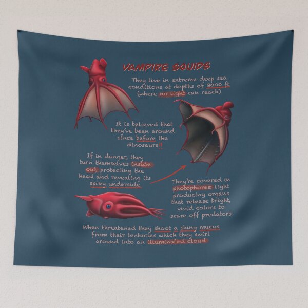 Item preview, Vampire Squid Fun Animal Facts designed and sold by troyanthonyart.