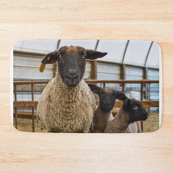 Item preview, Ewe and lambs designed and sold by jacindasgarner.