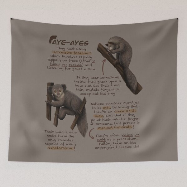 Item preview, Aye Ayes Fun Animal Facts designed and sold by troyanthonyart.