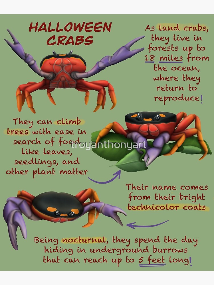 "Halloween Crabs Fun Animal Facts" Poster by troyanthonyart Redbubble