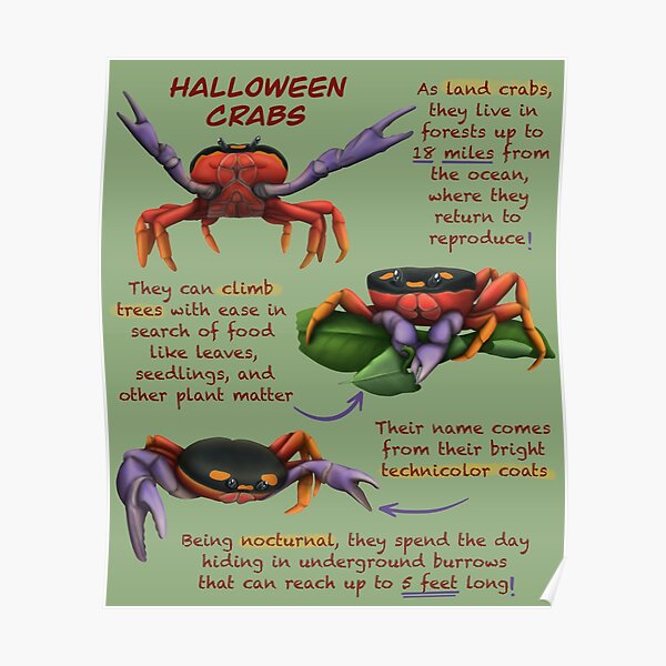 "Halloween Crabs Fun Animal Facts" Poster by troyanthonyart Redbubble