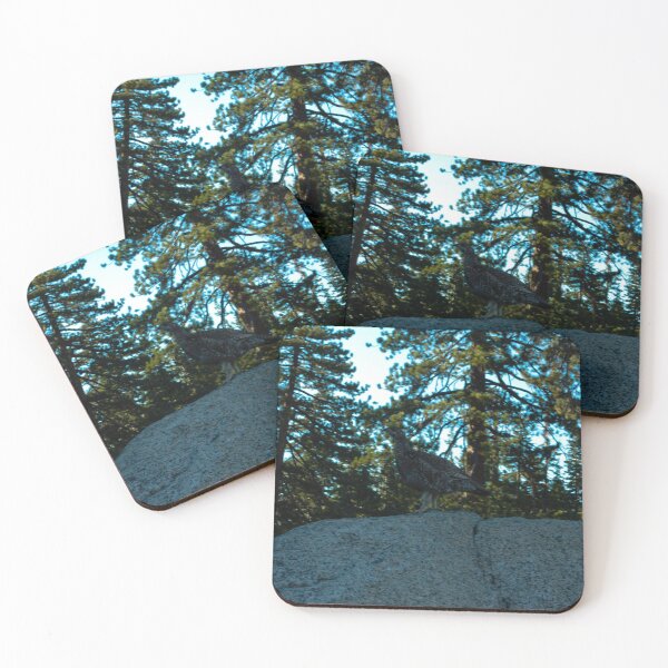 Item preview, Yosemite National Park - Grouse designed and sold by HootenannyPhoto.