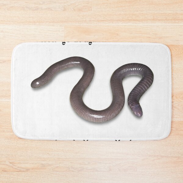 Item preview, Never Go in Against a Caecilian When Death is on the Line designed and sold by MaraeVipond.