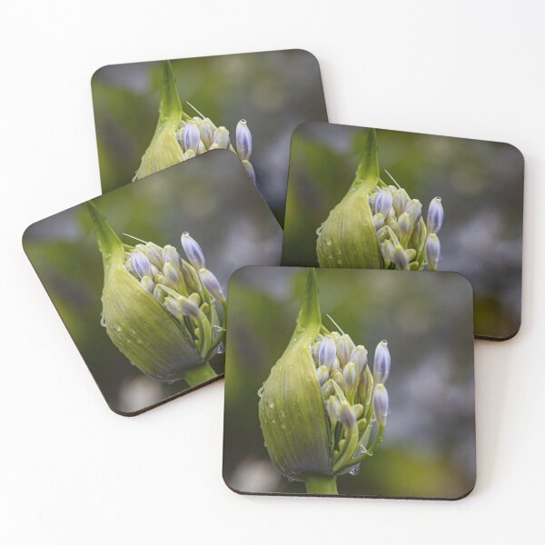 Item preview, Opening designed and sold by Marylou Badeaux.