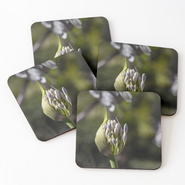 Item preview, New Beginnings designed and sold by Marylou Badeaux.