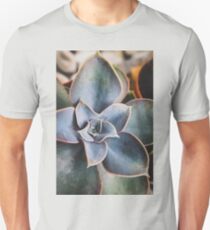 close up of succulent Unisex T-Shirt