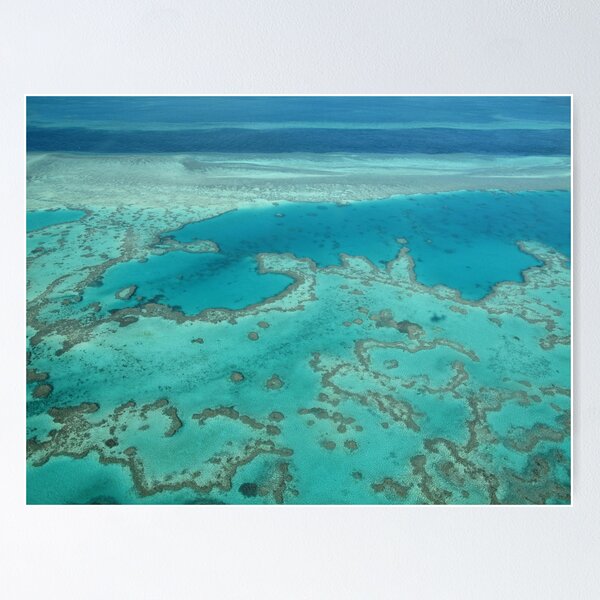 Artikel-Vorschau von Great Barrier Reef, designt und verkauft von Katrina Kotlarski.
