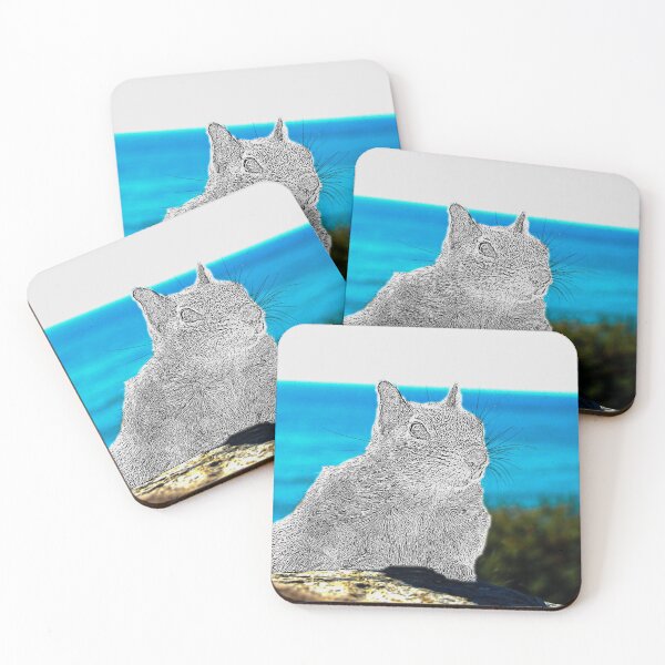 Item preview, Pacific Coast Highway - Squirrel Sketch designed and sold by HootenannyPhoto.
