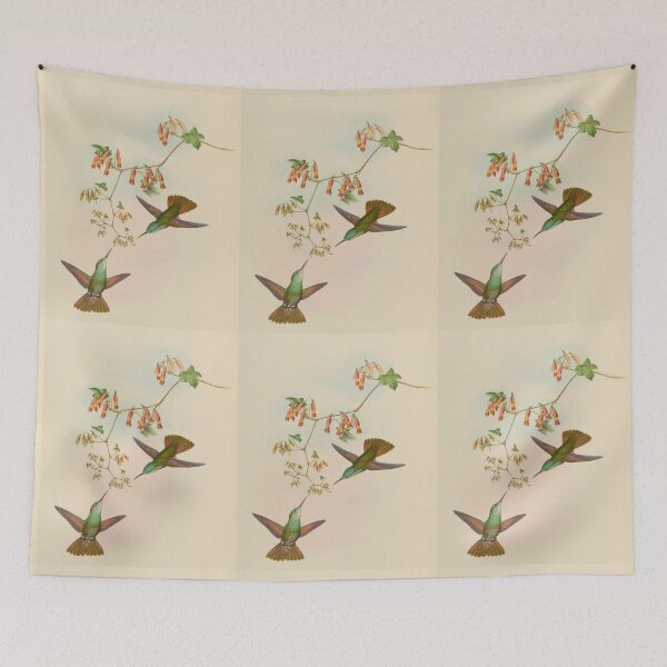 Item preview, Hummingbirds by John Gould  designed and sold by Amanda1775.