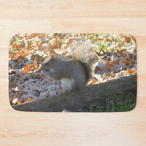 Item preview, Squirrel With Acorn designed and sold by LCRobertsonArt.