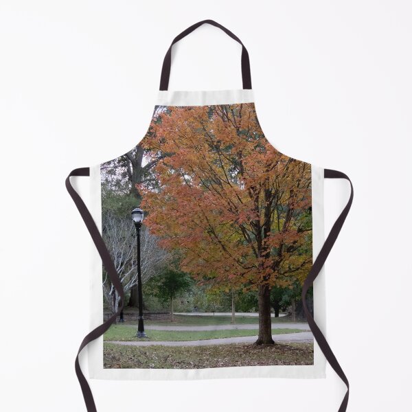 Item preview, Park in Autumn designed and sold by Roger Easley.